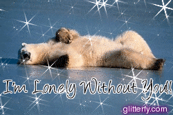 Lonely Polar Bear