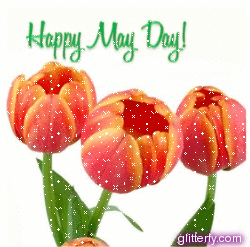 May Day Tulips