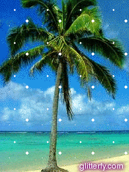 Palm Tree Beach