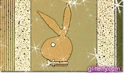 Playboy Bunny