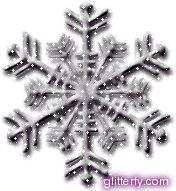 Black and White Snowflake