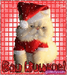 Bah Humbug Cat
