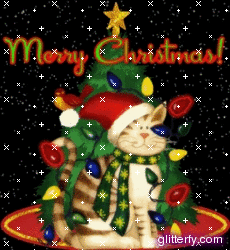 Merry Christmas Cat