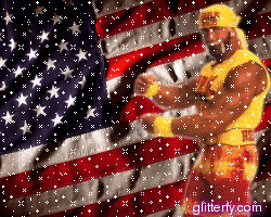 USA Hulk