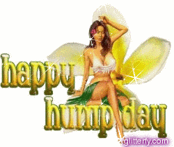 Happy Hump Day