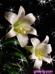 Easter Lilies